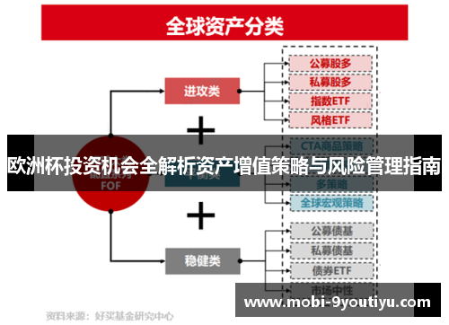 欧洲杯投资机会全解析资产增值策略与风险管理指南