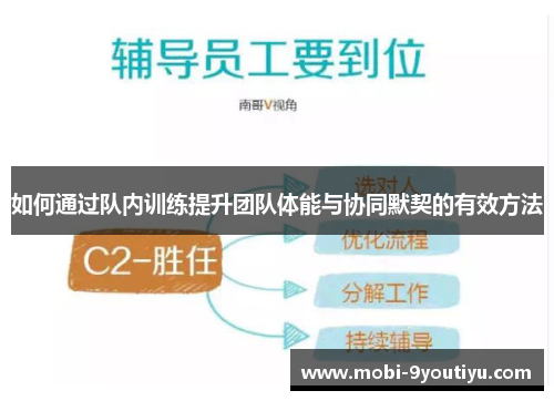 如何通过队内训练提升团队体能与协同默契的有效方法