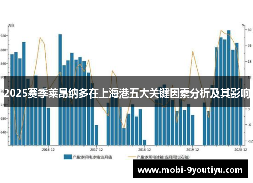 2025赛季莱昂纳多在上海港五大关键因素分析及其影响