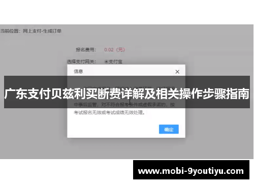广东支付贝兹利买断费详解及相关操作步骤指南