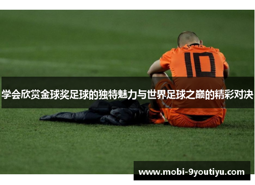 学会欣赏金球奖足球的独特魅力与世界足球之巅的精彩对决