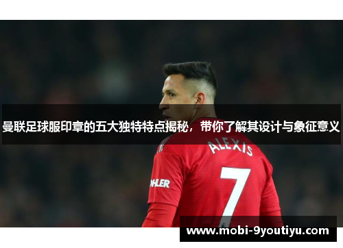 曼联足球服印章的五大独特特点揭秘，带你了解其设计与象征意义